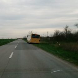 autobus net bus