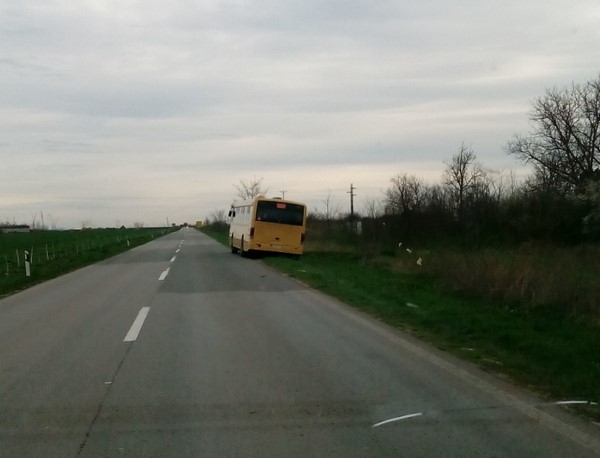 autobus net bus