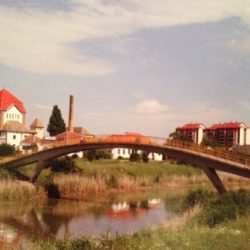 daunova cuprija