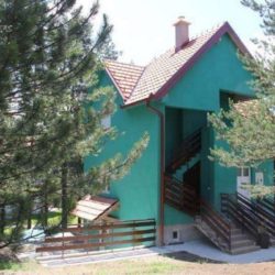 davidovac apartmani