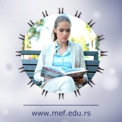 MEF 1 e1439124500503