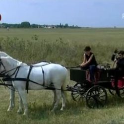 varosarije