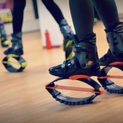 Kangoo SC Bambi 500x333 e1449839620978