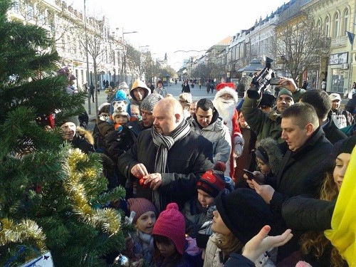 grad otvorenog srca kicenje jelke 2016 zrenjanin 7