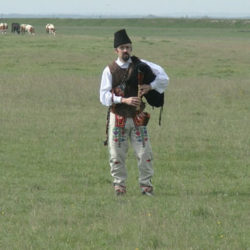 vanja ilijev