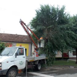 cistoca nevreme
