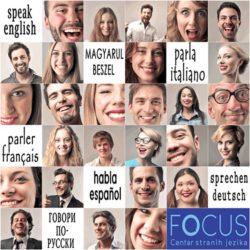 focus 1