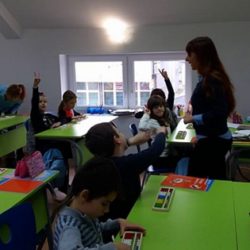 Malac genijalan Zrenjanin