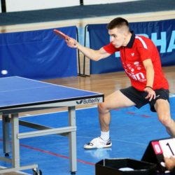 ilija majstorovic