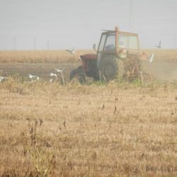oranje traktor blize