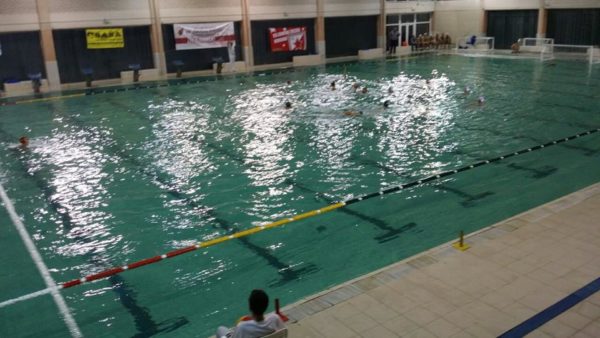 vaterpolo zvezda zadar