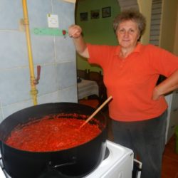 zimnica nada sporet