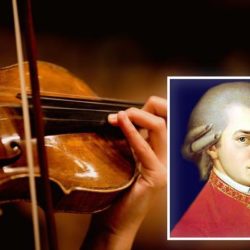 1 violin