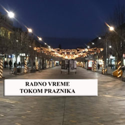 RADNO VREME 1