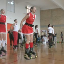 kangoo