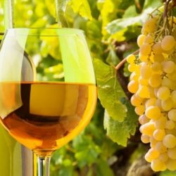 belo vino
