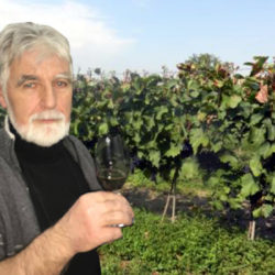 vinograd copy