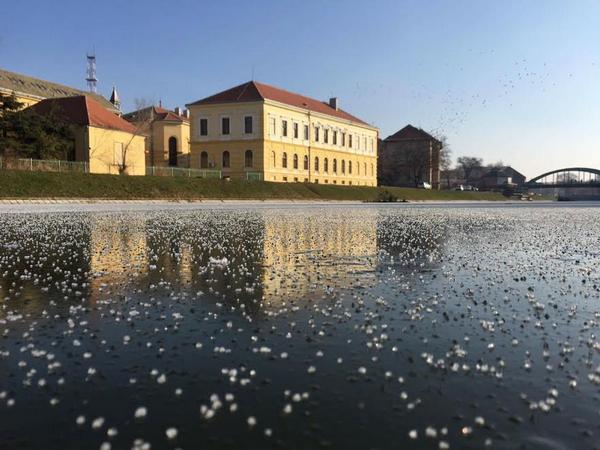 vremenska zrenjanin