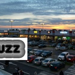 buzz aviv featured