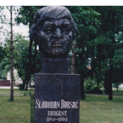 bista slobodan bursac 2