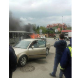 gori taxi 1