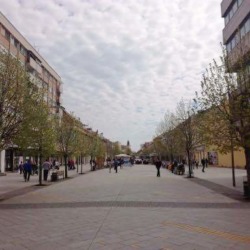zrenjanin izbori