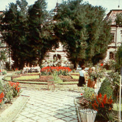 14 Gradska basta 1962