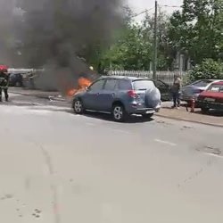 gori auto 4