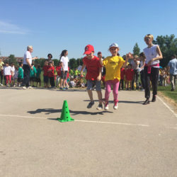 vrticanci15