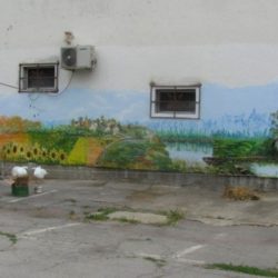 naslovna mural zrenjanin