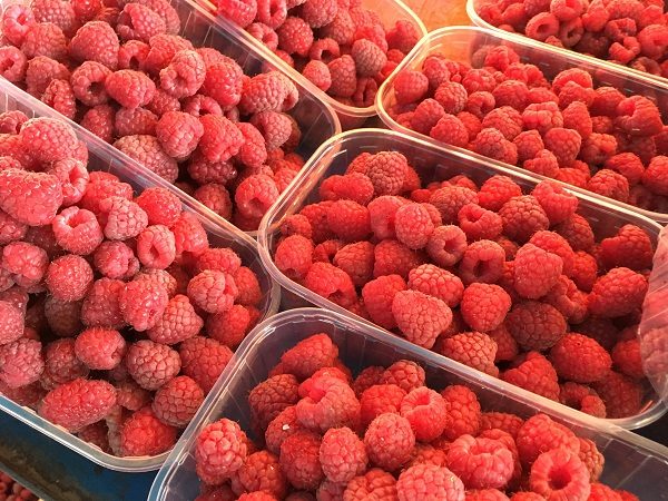 pijaca maline