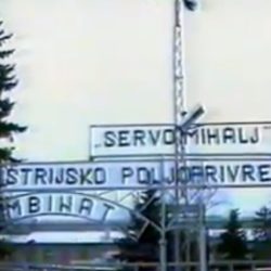 servo mihalj