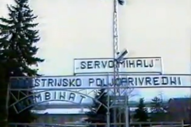 servo mihalj