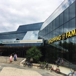 shopping family