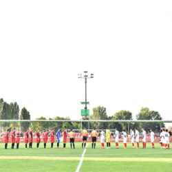 vojvodina radnicki