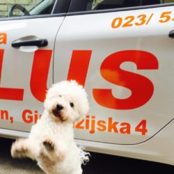 auto škola plus