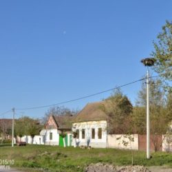 Margita