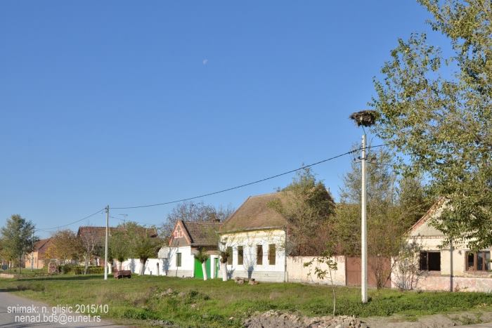 Selo Margita (foto: facebook/Moja Vojvodina Moj Dom)