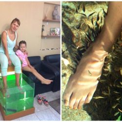 fish spa 7