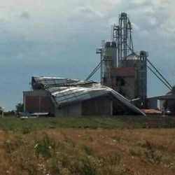 silos botos