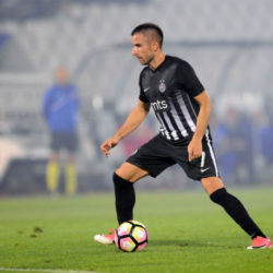 zoran tosic