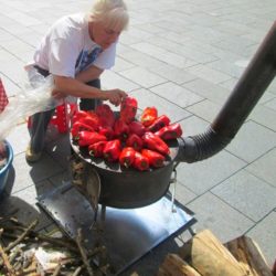 izadji mi na teglu zrenjanin2