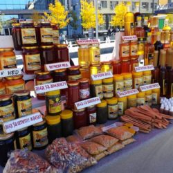 naslovna festivalmeda