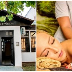 omi spa naslovna