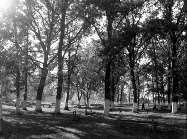Stari Lec Park vlastelinstva
