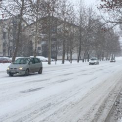 bagljas zima