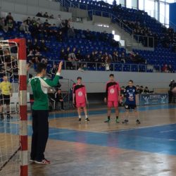 trofej grada zrenjanina