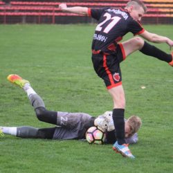fk radnicki backa 1901