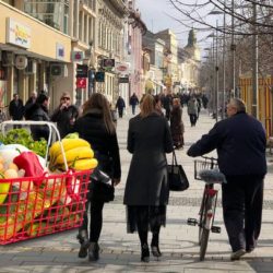 potrosacka korpa zrenjanin 1