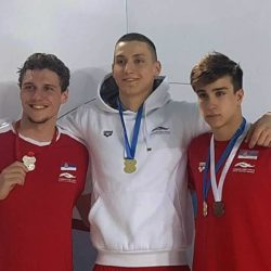 nikola acin